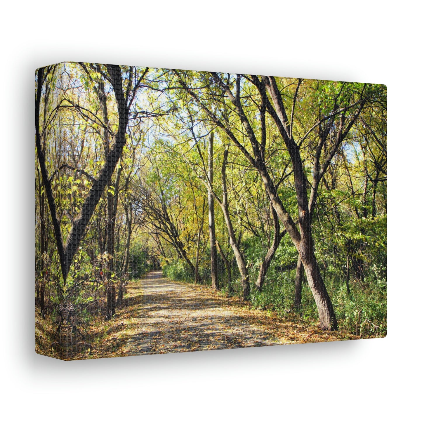 On The Beaten Path Canvas Gallery Wrap