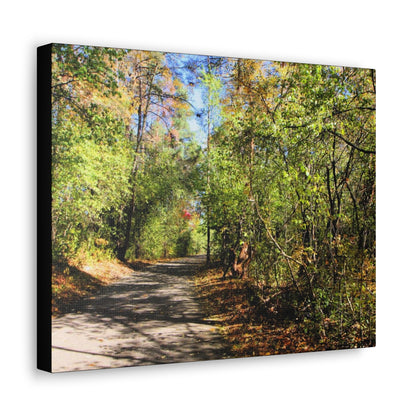 Into The Woods Canvas Gallery Wraps