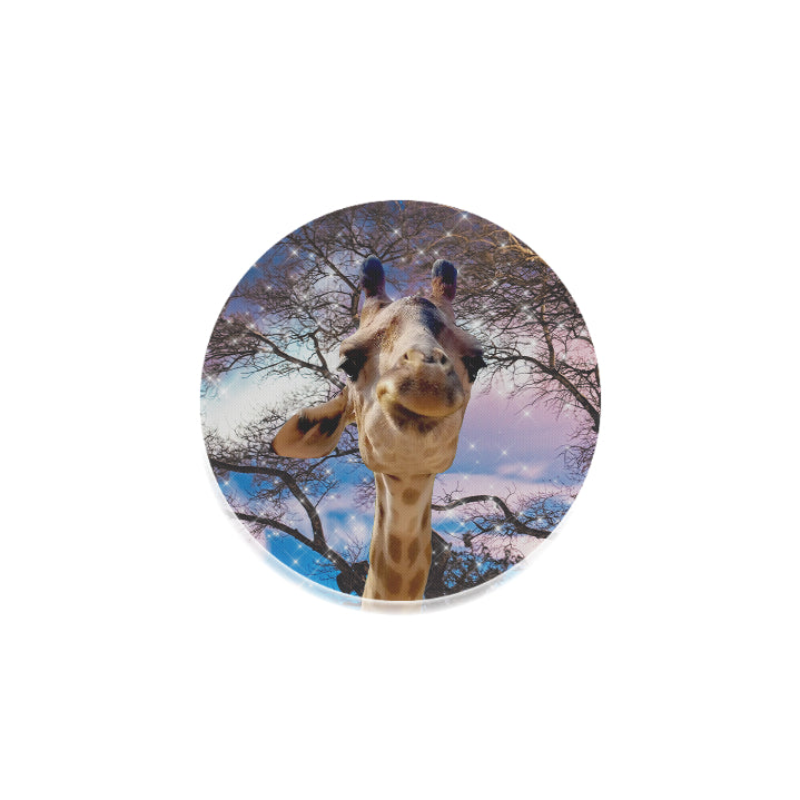 Giraffe Round Coaster
